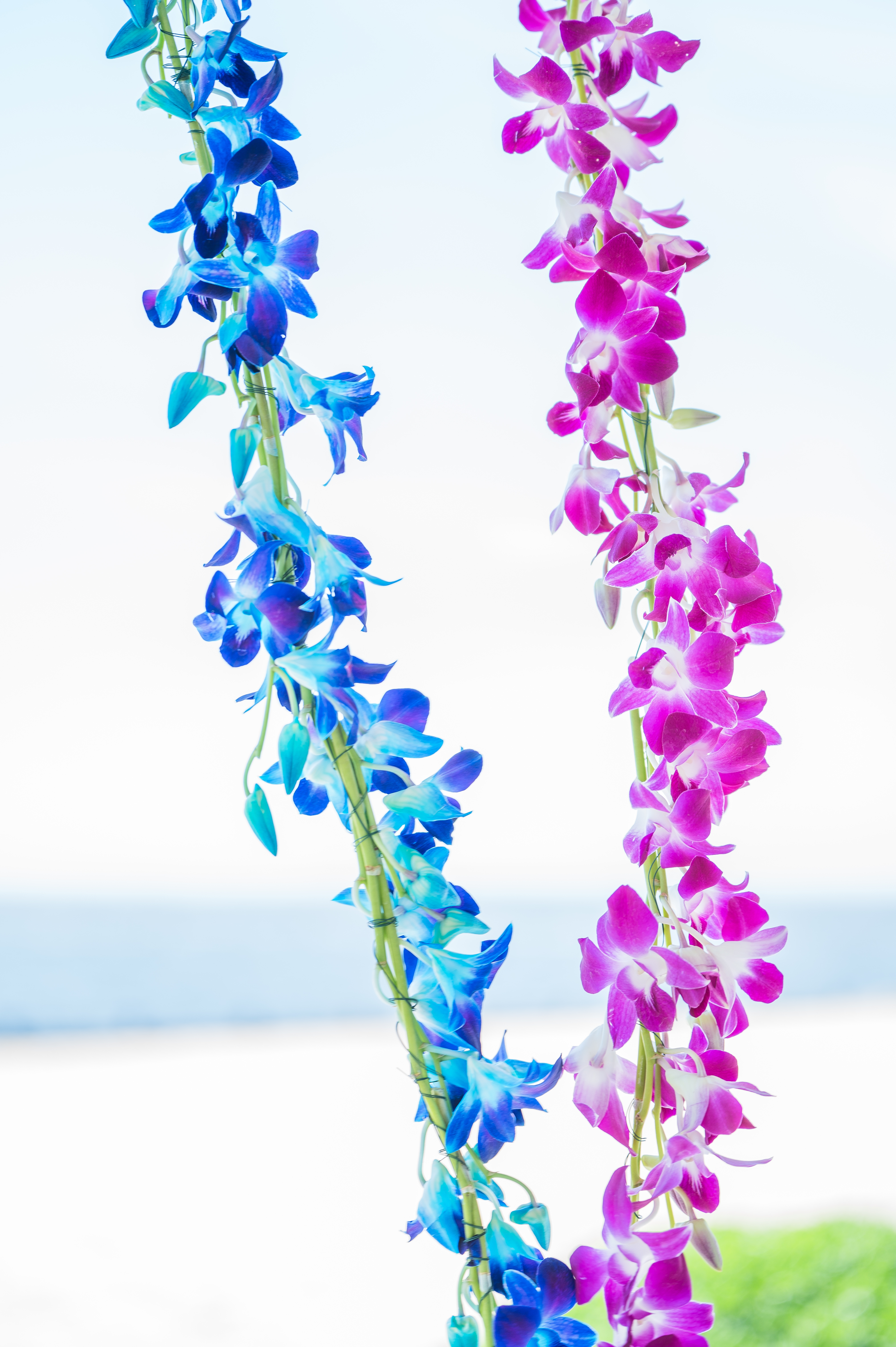 Lessons I learned Through Life